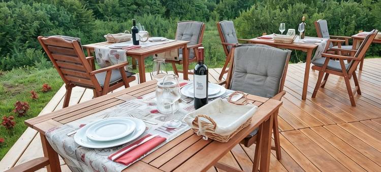 阿帕特马尼布里酒店(B&B Apartments Burić Plitvice Lakes)图片