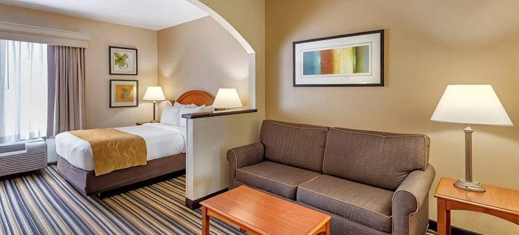诺福克郡切萨皮克舒适套房酒店(Comfort Suites Chesapeake - Norfolk)图片