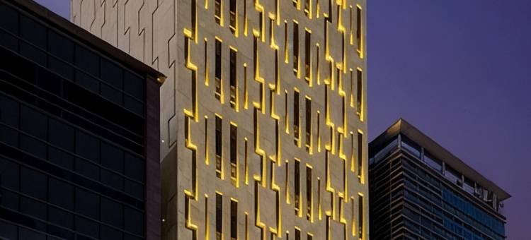 设计师林拥军江南尊贵酒店(Hotel the Designers LYJ Gangnam Premier)图片