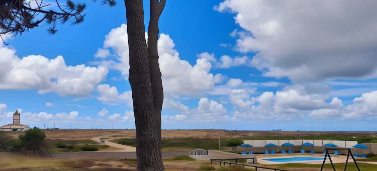 WOT 松林海魂(WOT PinhalMar Soul)图片