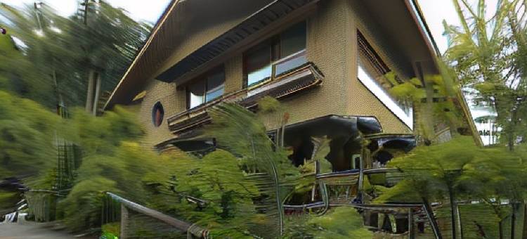 梅格苏松酒店(Meigetsuso)图片