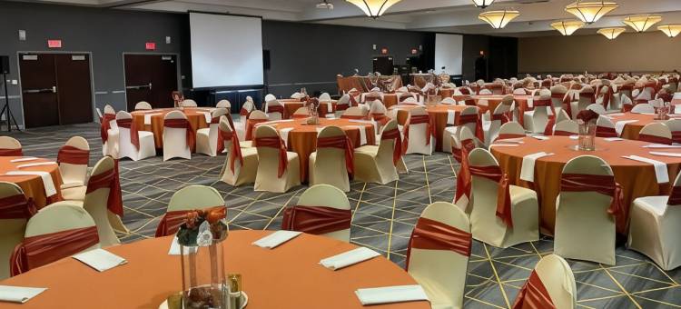 Wyndham Flint MI/Grand Blanc/Bishop Airport/Conference Ctr图片