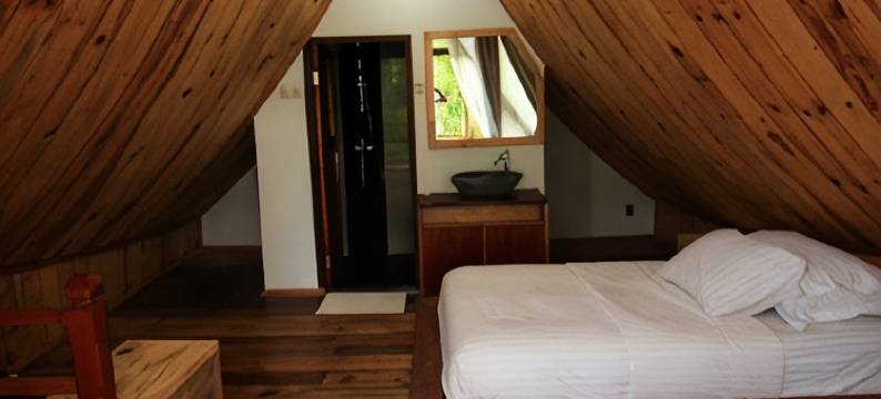 帕迪生态小屋酒店(Padi Ecolodge)图片