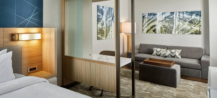 哥伦布/都柏林SpringHill Suites酒店(SpringHill Suites Columbus Dublin)图片