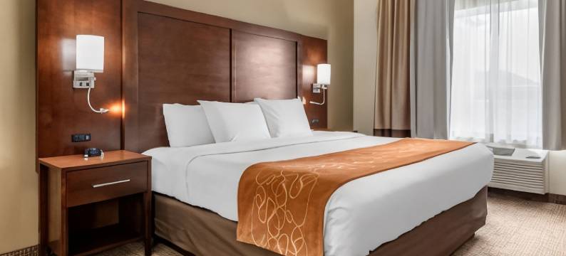 奥本I-69附近舒适套房酒店(Comfort Suites Auburn Near I-69)图片