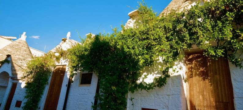 特鲁利普利亚度假旅馆(Trulli e Puglia Resort)图片