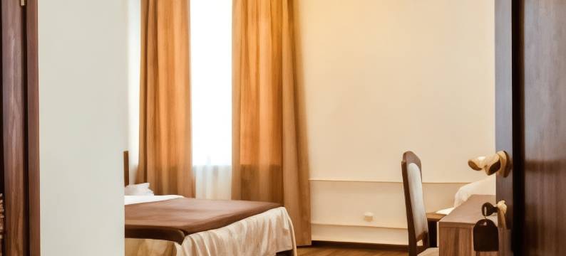 维加商务酒店(Hotel Vega Business)图片