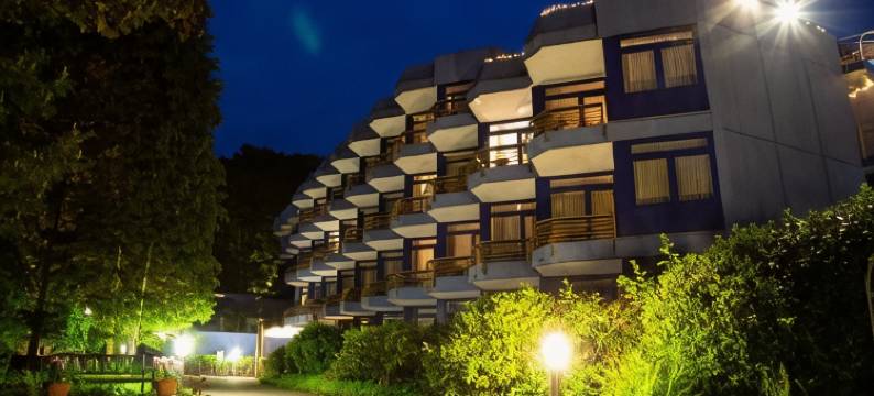 巴登韦勒菲尼度假酒店(Fini-Resort Badenweiler)图片