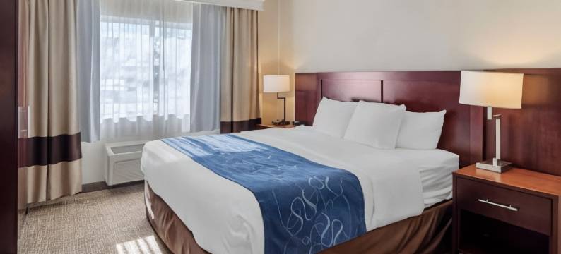 大学区舒适套房标准酒店(Comfort Suites Normal University Area)图片