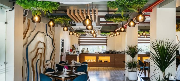 恒河旁的埃瓦拉(Evaara By The Ganges)图片