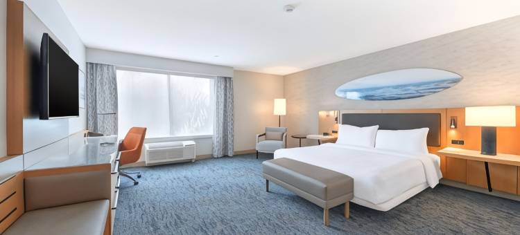 LAX埃尔塞贡多希尔顿花园旅馆(Hilton Garden Inn LAX - El Segundo)图片