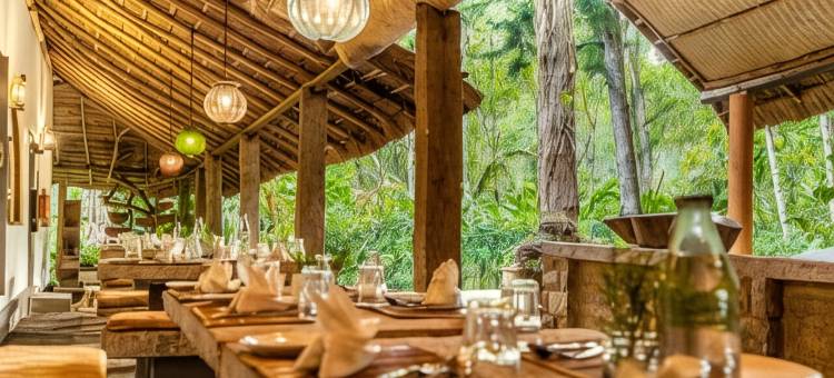 甘露荟·沙利玛香料花园水疗度假村(Amritara Shalimar Spice Garden Resort & Spa)图片