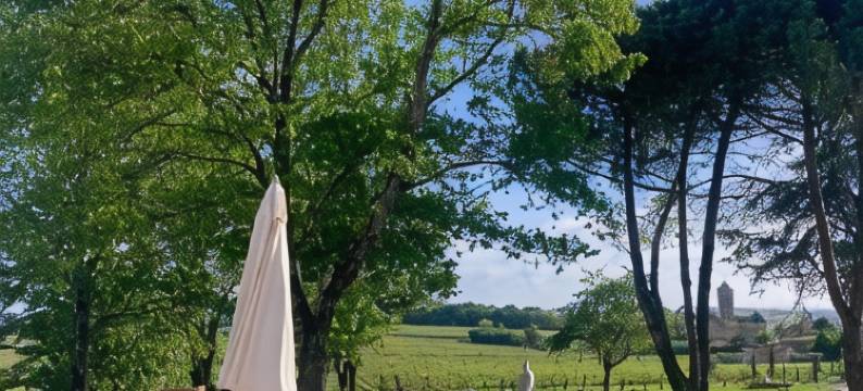 塞恩公爵酒店(Aux Ducs de Sienne)图片