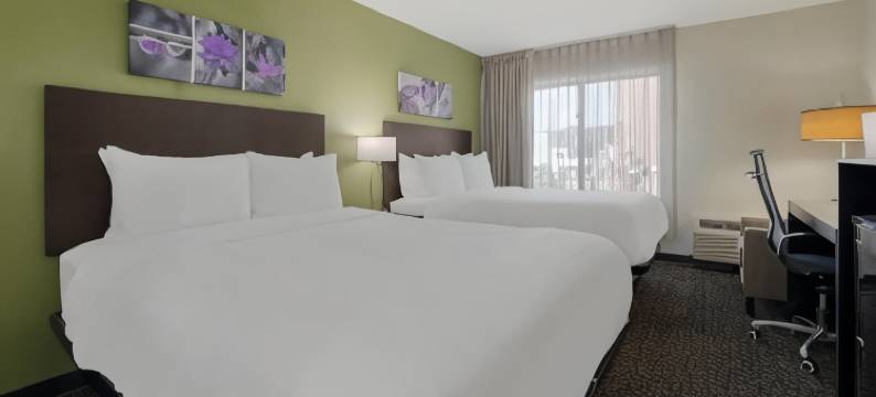 舒眠汽车旅馆(Sleep Inn)图片