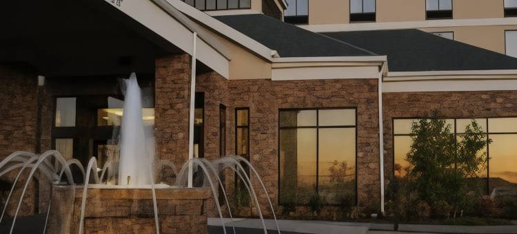 希尔顿花园酒店-卡特斯维尔(Hilton Garden Inn Cartersville)图片