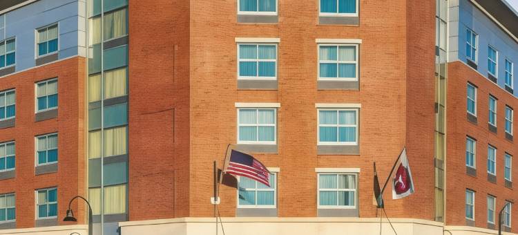 Fairfield Inn & Suites Boston Logan Airport/Chelsea图片