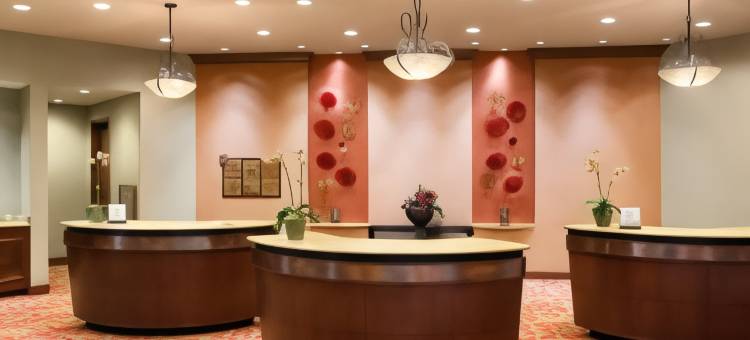 诺曼酒店及会议中心希尔顿安泊酒店(Embassy Suites by Hilton Norman Hotel & Conference Center)图片