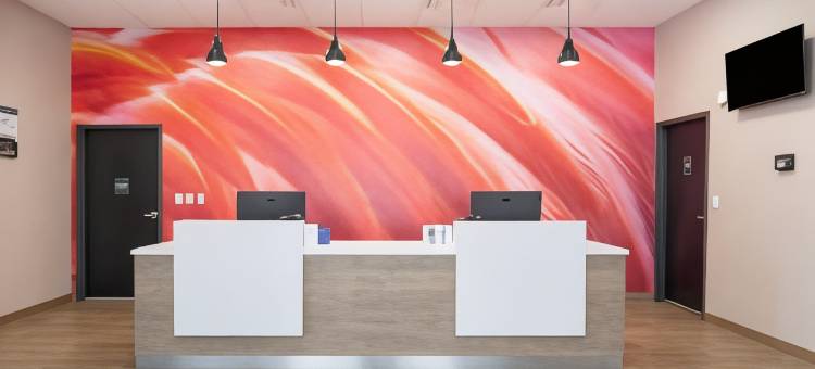 Best Western Plus Mobile Inn  Suites图片