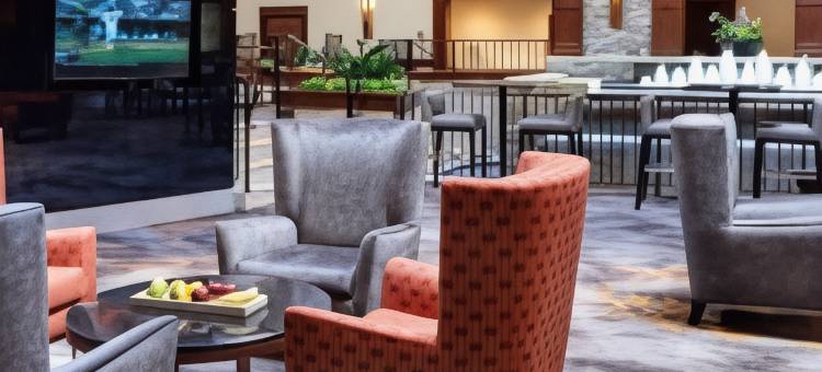 底特律迪尔伯恩希尔顿逸林酒店(DoubleTree by Hilton Detroit - Dearborn)图片