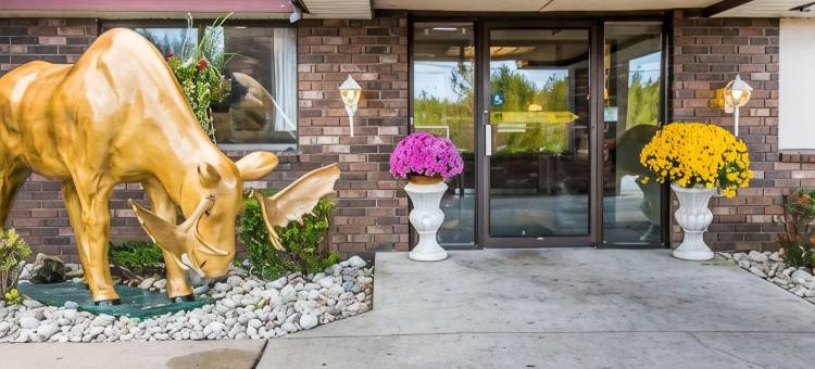 凯艺酒店(Quality Inn)图片