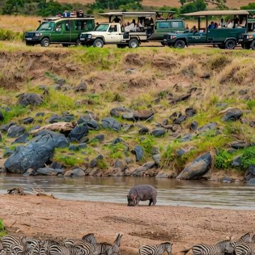 肯尼亚+坦桑尼亚9日8晚私家团