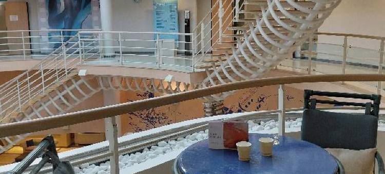 威驰塞勒庭温泉酒店(Célestins Spa Thermal & Hôtel by Vy Resort)图片