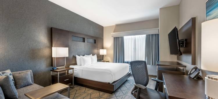 舒适酒店及套房克拉克斯维尔 - 路易斯维尔北(Comfort Inn & Suites Clarksville - Louisville North)图片
