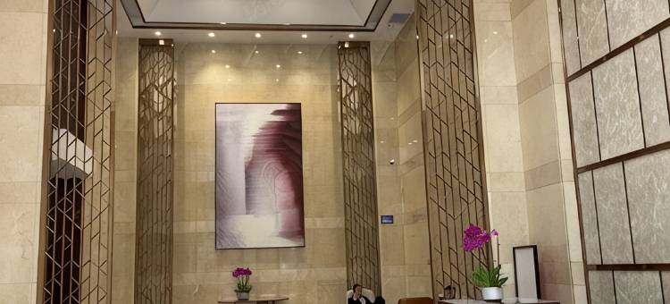北辰·揽江酒店(北辰国际会议中心店)图片
