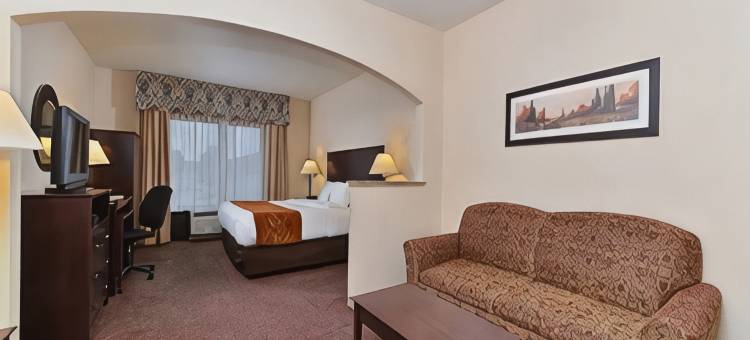 66 号公路附近舒适全套房酒店(Comfort Suites Near Route 66)图片