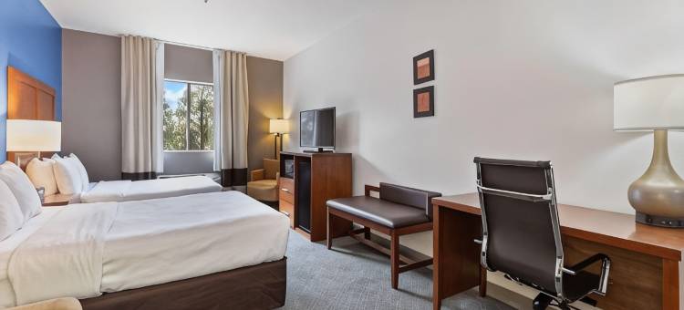伦巴德阿狄森舒适套房酒店(Comfort Suites Lombard/Addison)图片
