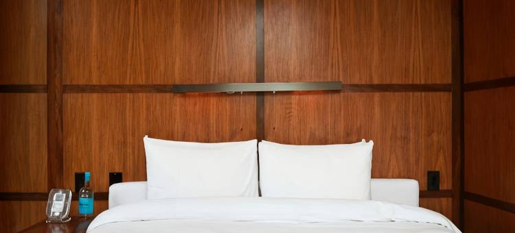 DF康德萨，Design Hotels™设计酒店成员(Condesa df, Mexico City, a Member of Design Hotels)图片