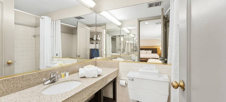 罗斯维尔/底特律地区温德姆戴斯套房酒店(Days Inn & Suites by Wyndham Roseville/Detroit Area)图片