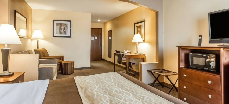 品质酒店及套房芒特普莱森特(Quality Inn & Suites)图片