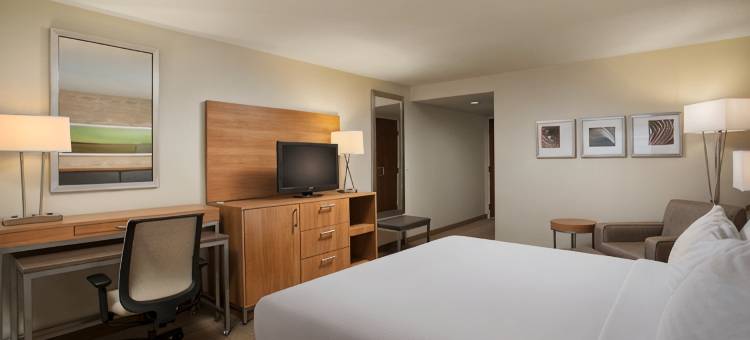 Holiday Inn 大急流城- 机场(Holiday Inn GRAND RAPIDS - AIRPORT by IHG)图片