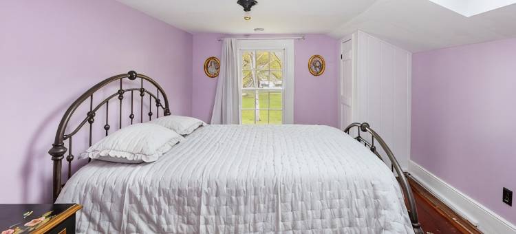 Catskill dreamy pet friendly country house  for a unique getaway experience.图片