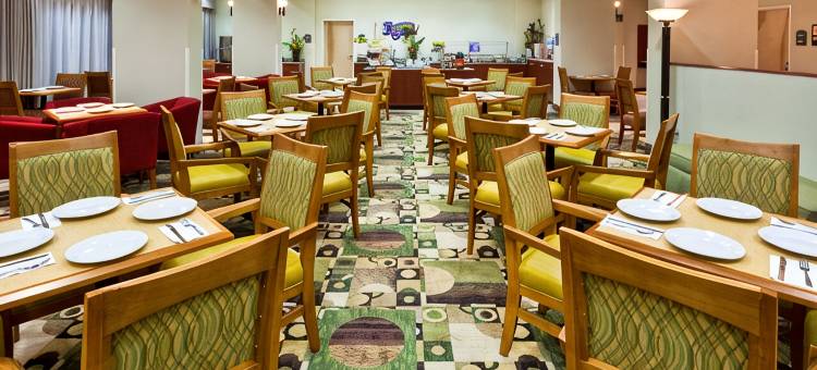 智选假日套房蒙特雷Aeropuerto酒店(Holiday Inn Express & Suites MONTERREY AEROPUERTO by IHG)图片