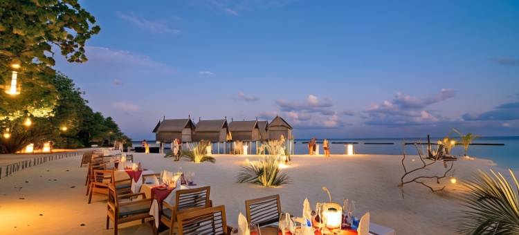 马尔代夫康斯丹魔富士酒店 - 一价全包(Constance Moofushi)图片