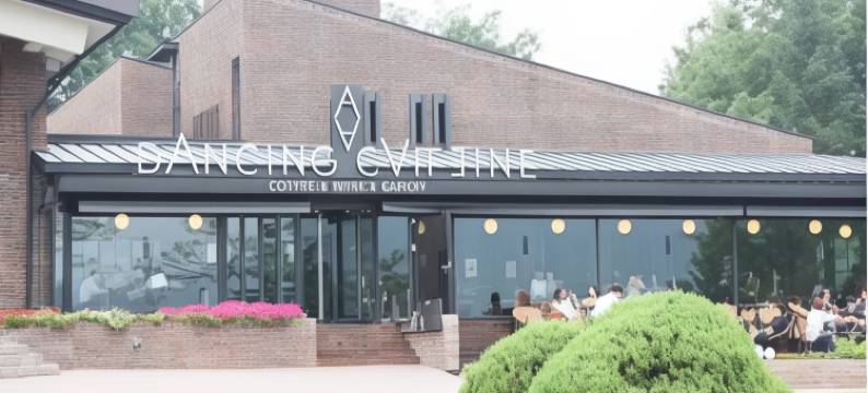 KT&G想象马当春川住宿-韩国品质(KT&G Sangsangmadang Chuncheon Stay)图片