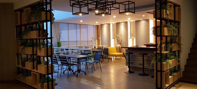 洛泽尔酒店(Rozelle Hotel)图片