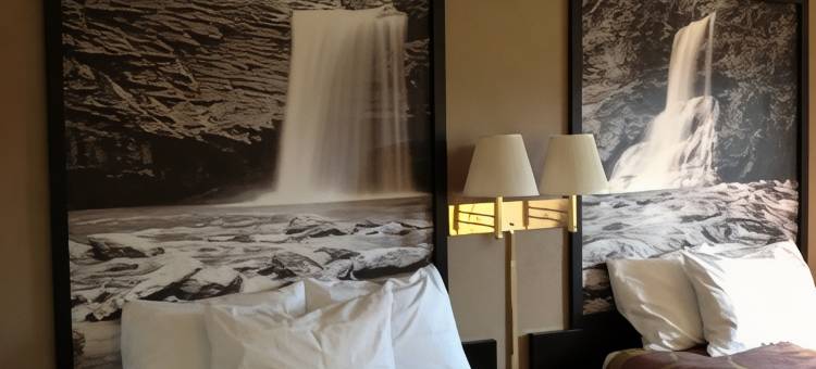 温彻斯特速8酒店(Super 8 by Wyndham Winchester VA)图片