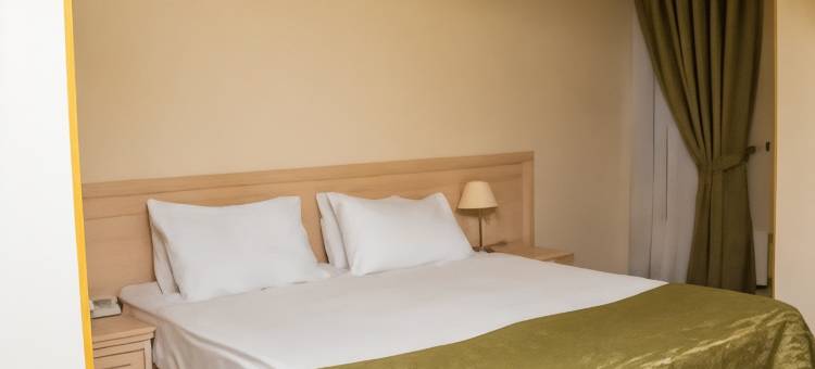 斯塔洛萨斯基酒店(Starosadskij Hotel)图片