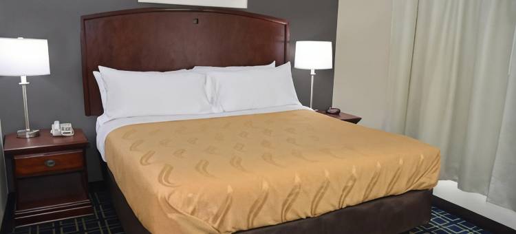 都柏林品质套房酒店(Quality Inn & Suites Dublin)图片