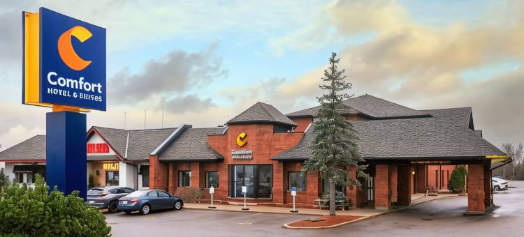 舒适套房酒店(Comfort Hotel & Suites)图片