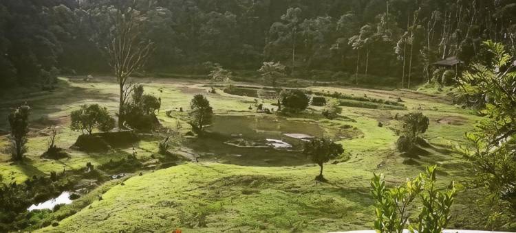 三山酒店-库格(Three Hills Resort Coorg)图片