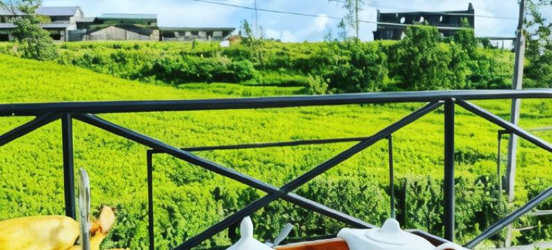 茶园别墅(Villa Tea Fields)图片