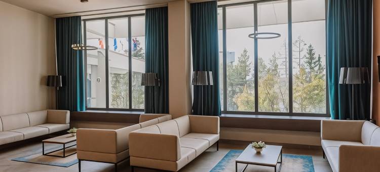 恩萨纳乌希娜酒店(Ensana Ursina)图片