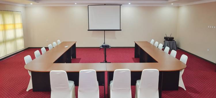 庞卡兰布翁阿尔瑟拉酒店(Arsela Hotel Pangkalan Bun)图片