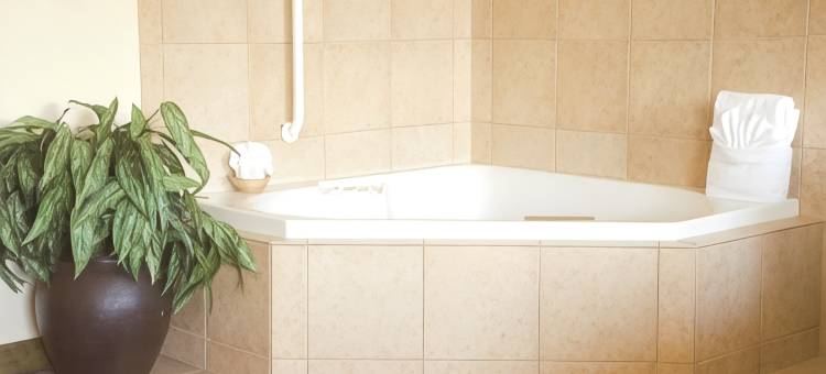 克利奇站-美国东6公路欢朋套房酒店(Hampton Inn & Suites College Station/US 6-East Bypass)图片