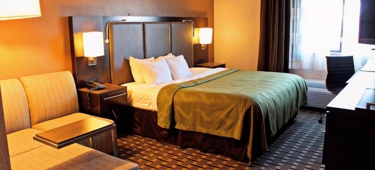 品质酒店及套房底特律大都会机场(Quality Inn & Suites Detroit Metro Airport)图片