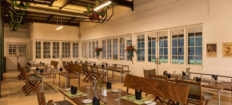 茶趣工坊 · 黛玛系列(Tea and Experience Factory - Thema Collection)图片